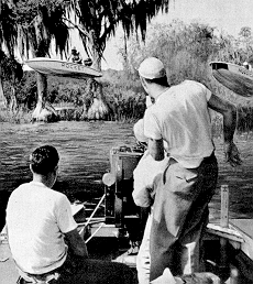 [Photo of filming at Cypress Gardens]