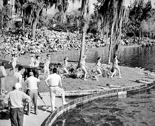 [Photo of filming at Cypress Gardens]