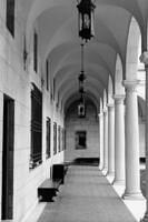Boston Public Library atrium columns (Fall, 2004)