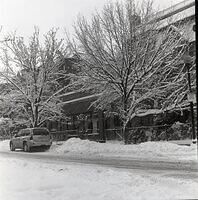 2010 snow storm (12/26/2010) - scan from 2 1/4" square negative